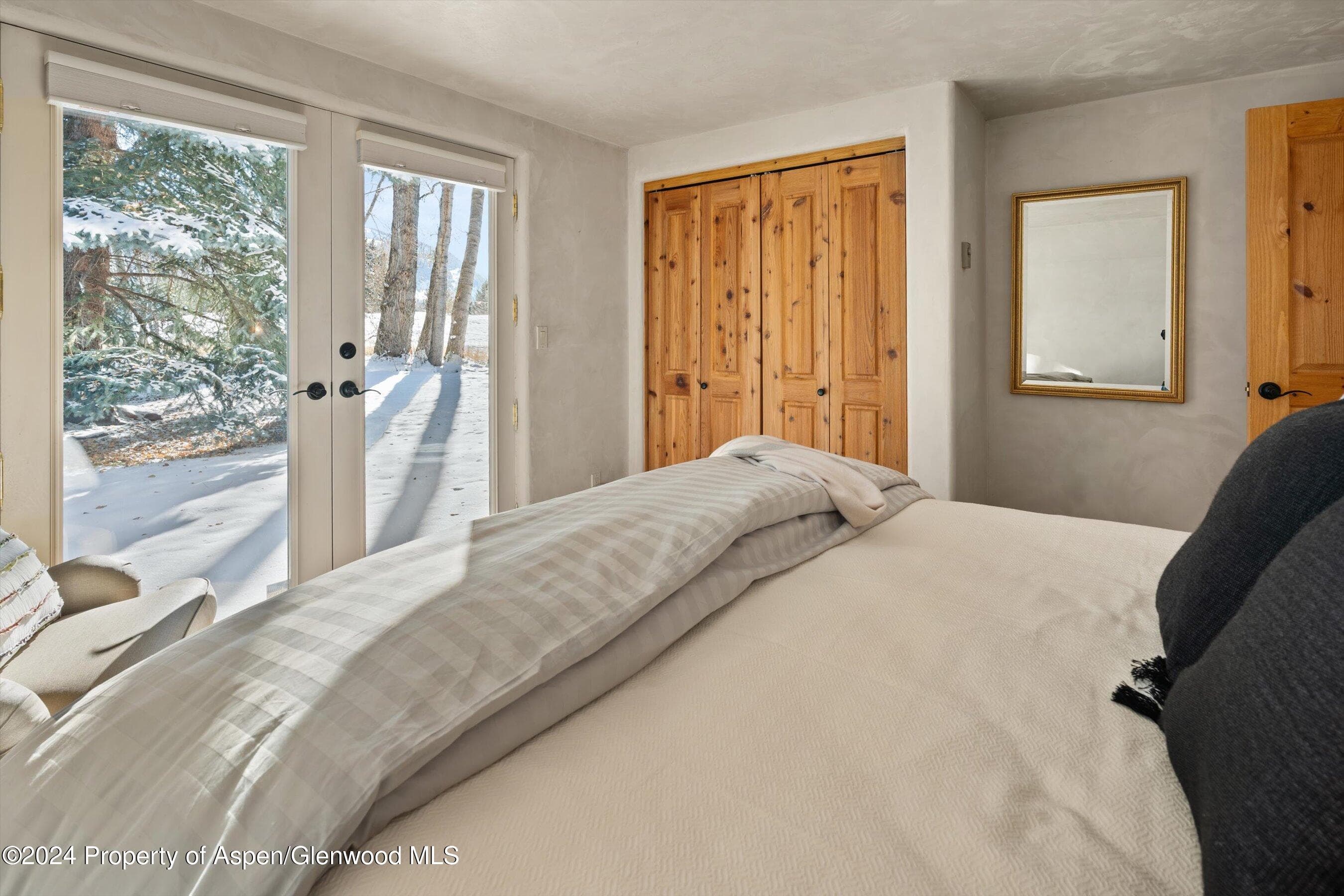 825 Cemetery Lane 2, Aspen, CO 81611 - Photo 27