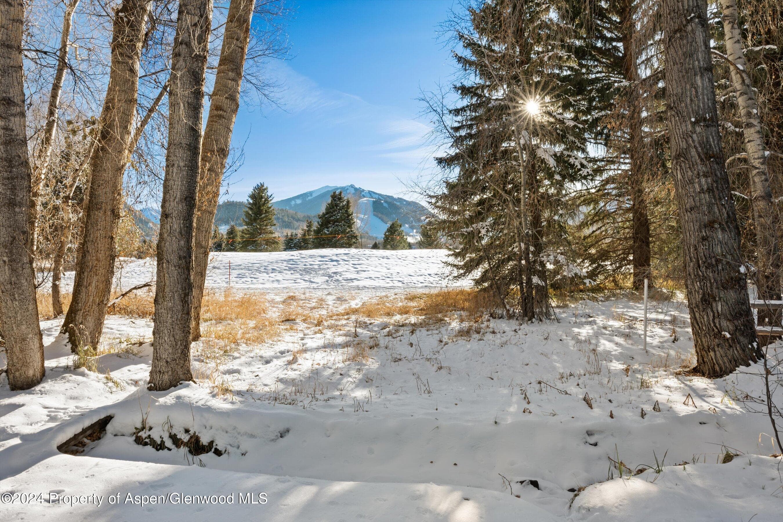 825 Cemetery Lane 2, Aspen, CO 81611 - Photo 37