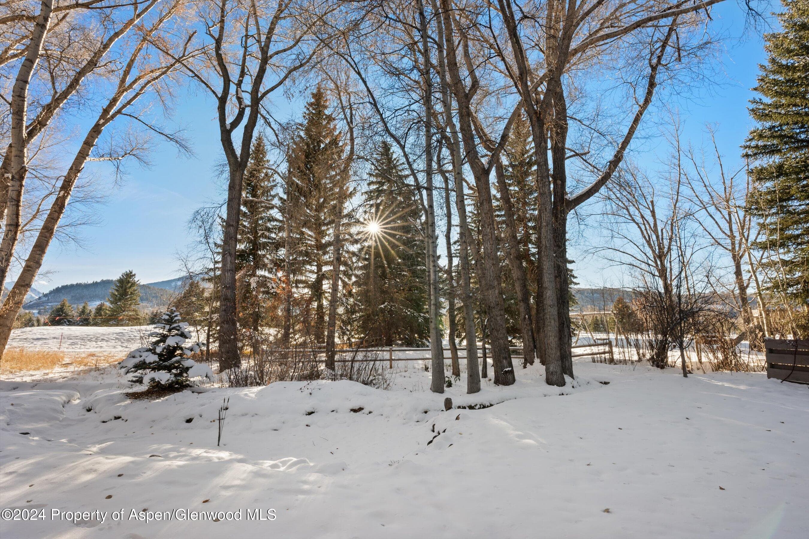 825 Cemetery Lane 2, Aspen, CO 81611 - Photo 40