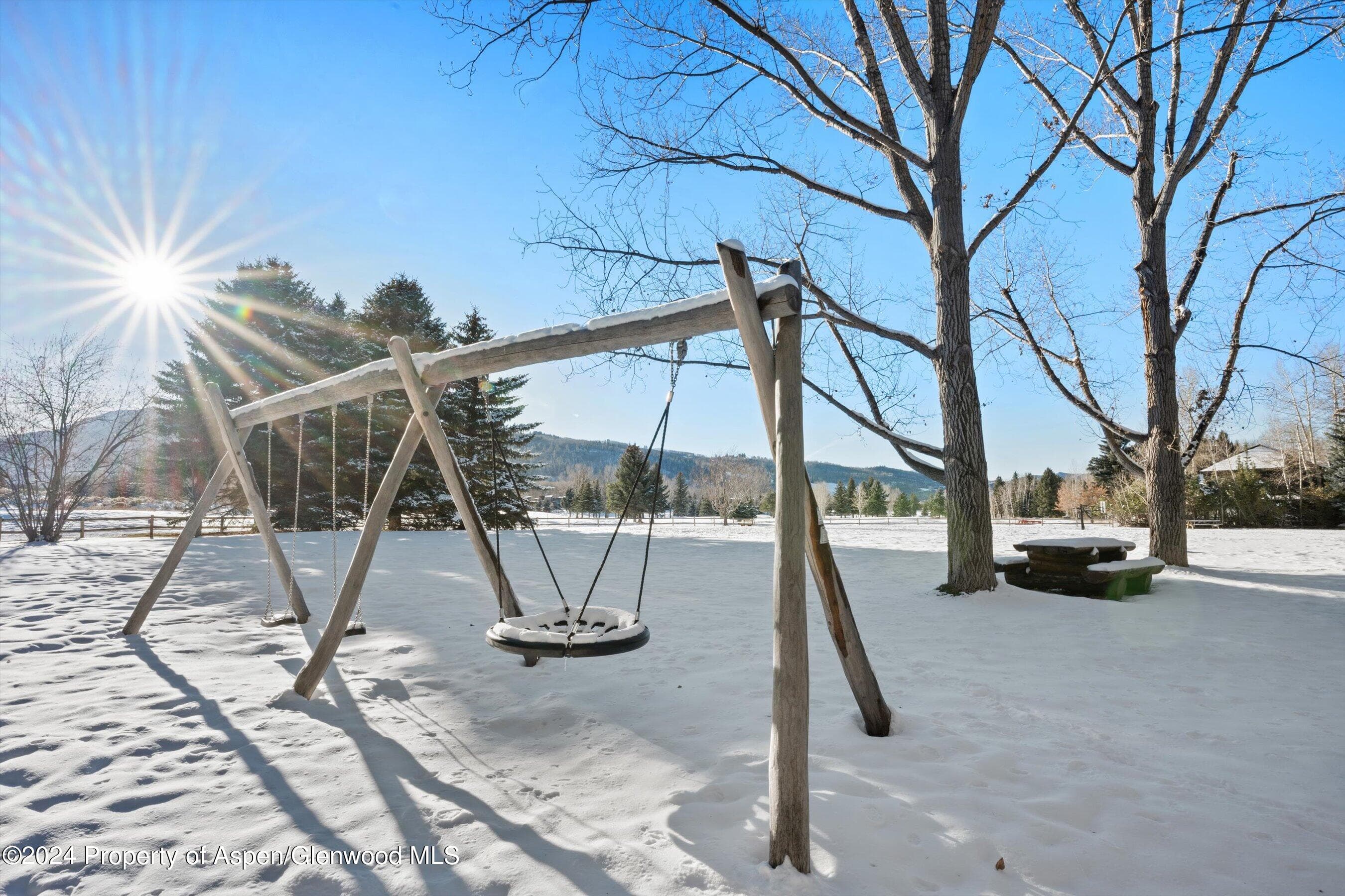 825 Cemetery Lane 2, Aspen, CO 81611 - Photo 41