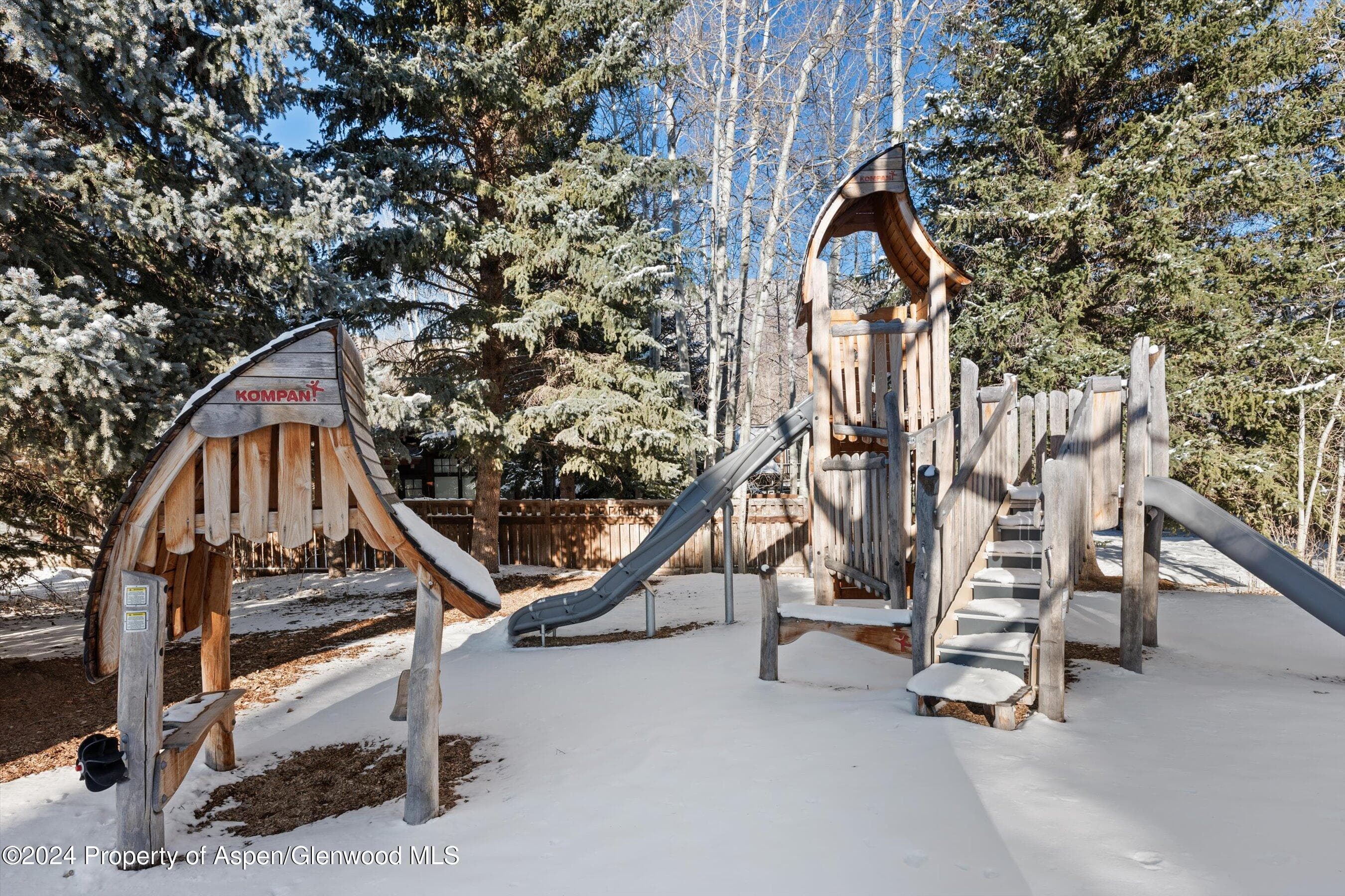 825 Cemetery Lane 2, Aspen, CO 81611 - Photo 42