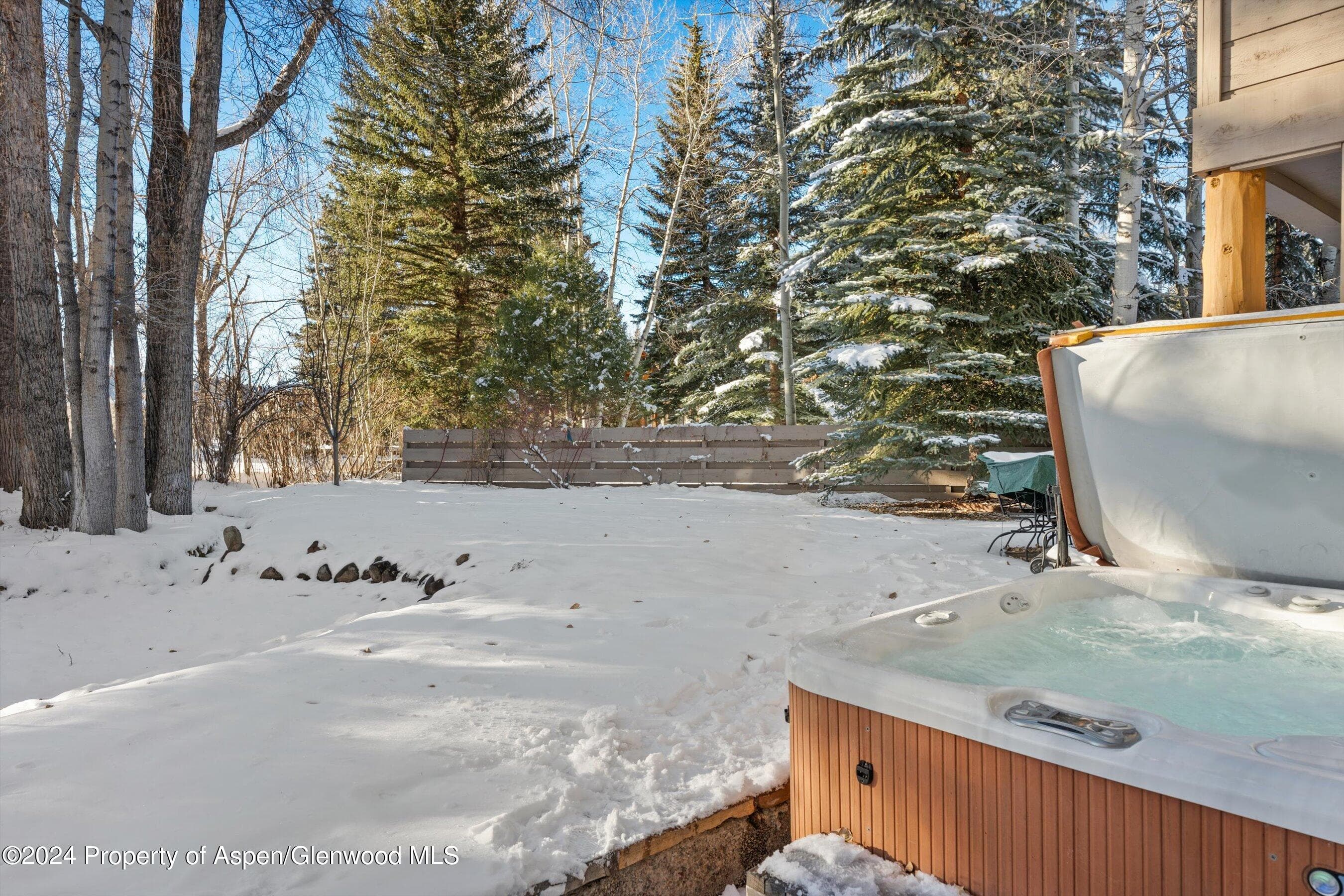 825 Cemetery Lane 2, Aspen, CO 81611 - Photo 44