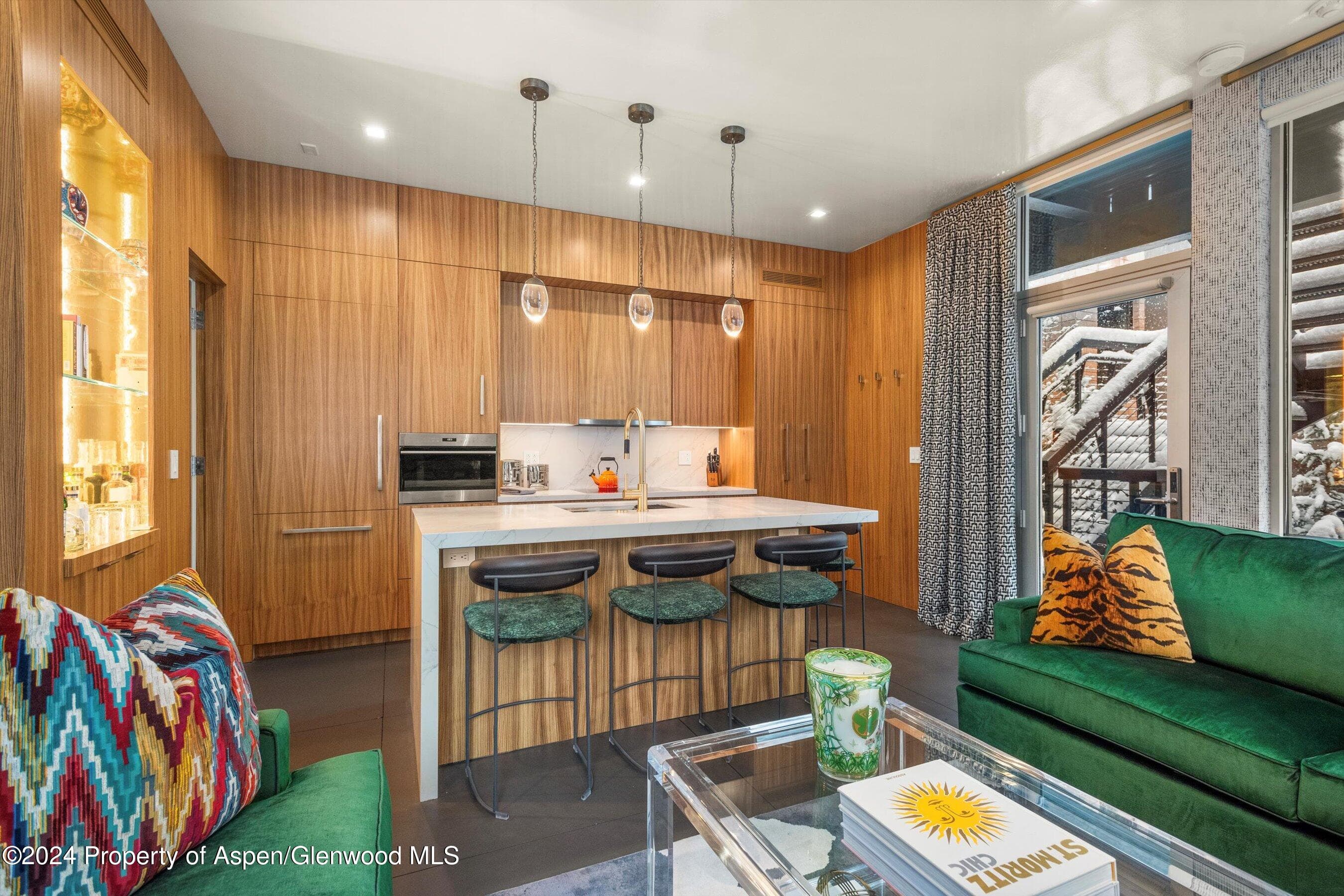 434 E Main Street 203, Aspen, CO 81611 - Photo 4