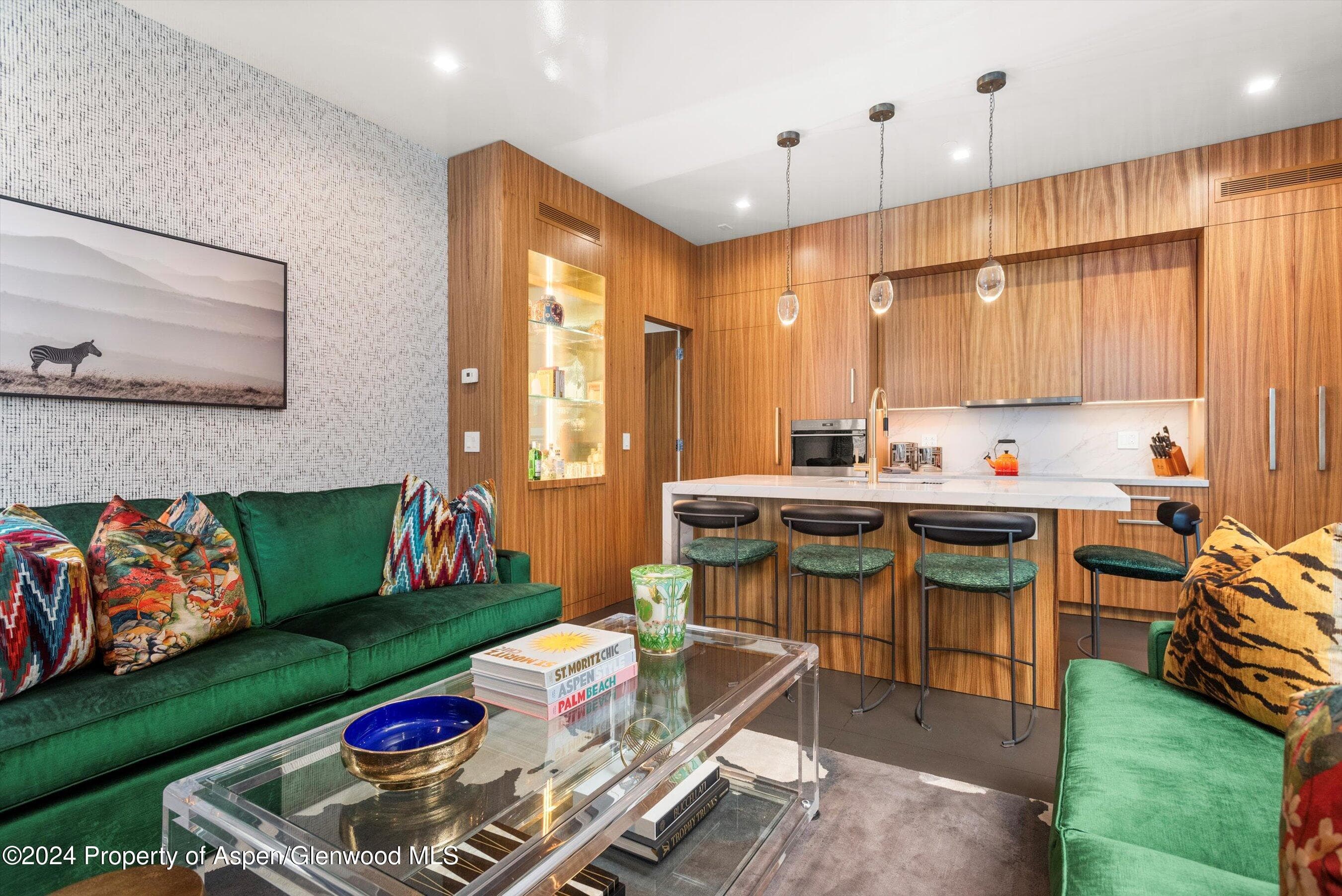 434 E Main Street 203, Aspen, CO 81611 - Photo 3
