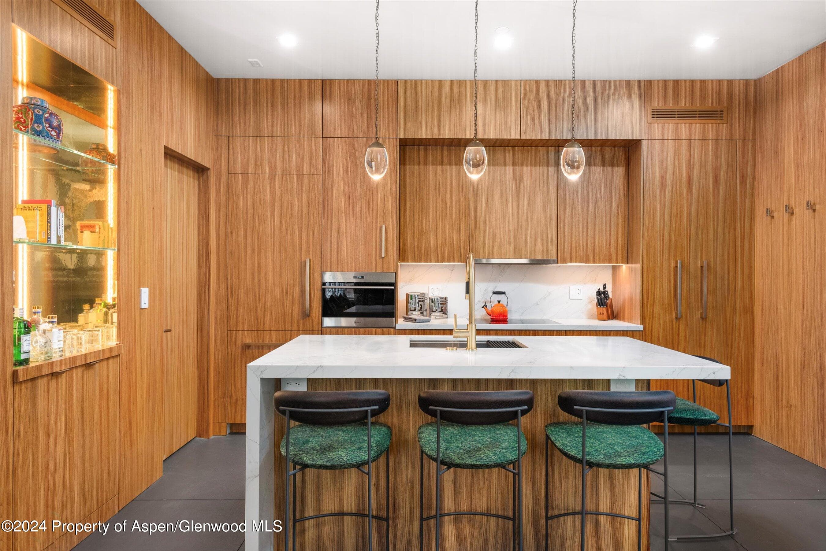 434 E Main Street 203, Aspen, CO 81611 - Photo 6