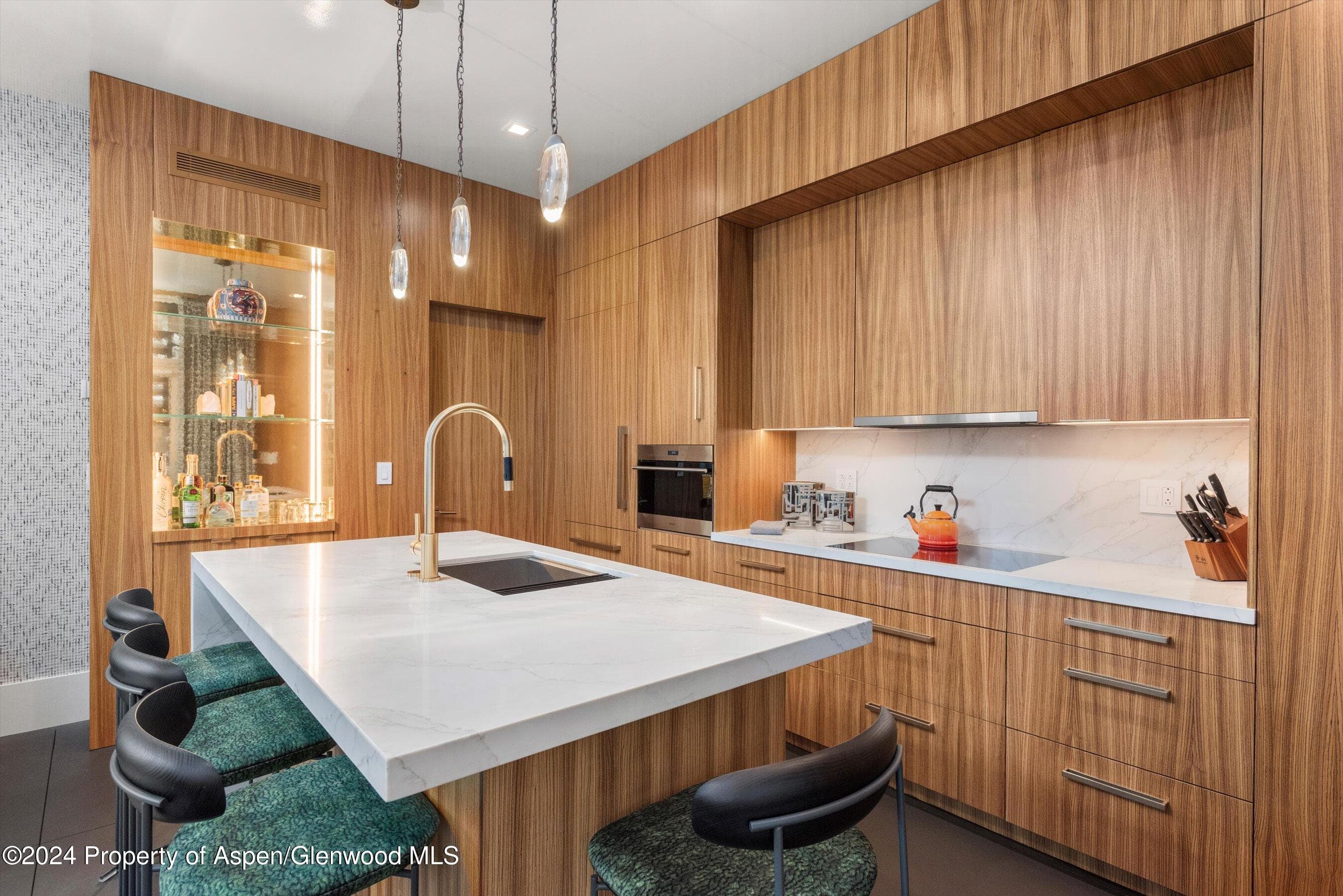 434 E Main Street 203, Aspen, CO 81611 - Photo 9