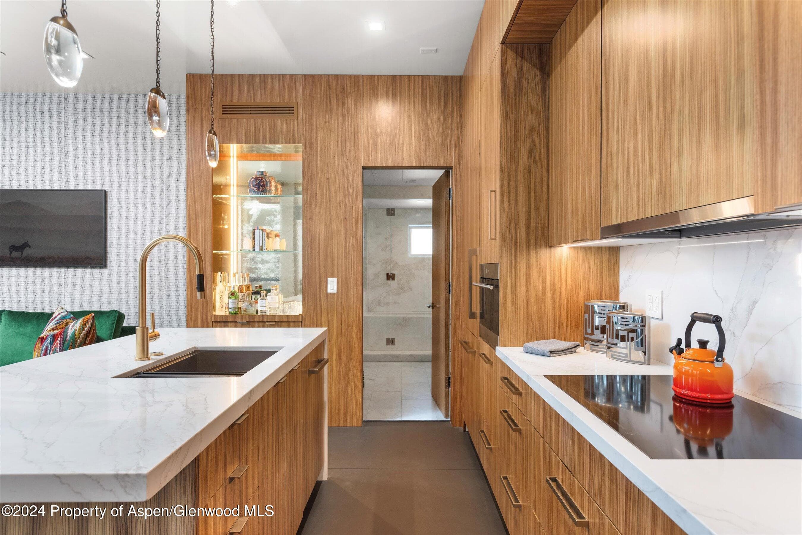 434 E Main Street 203, Aspen, CO 81611 - Photo 11