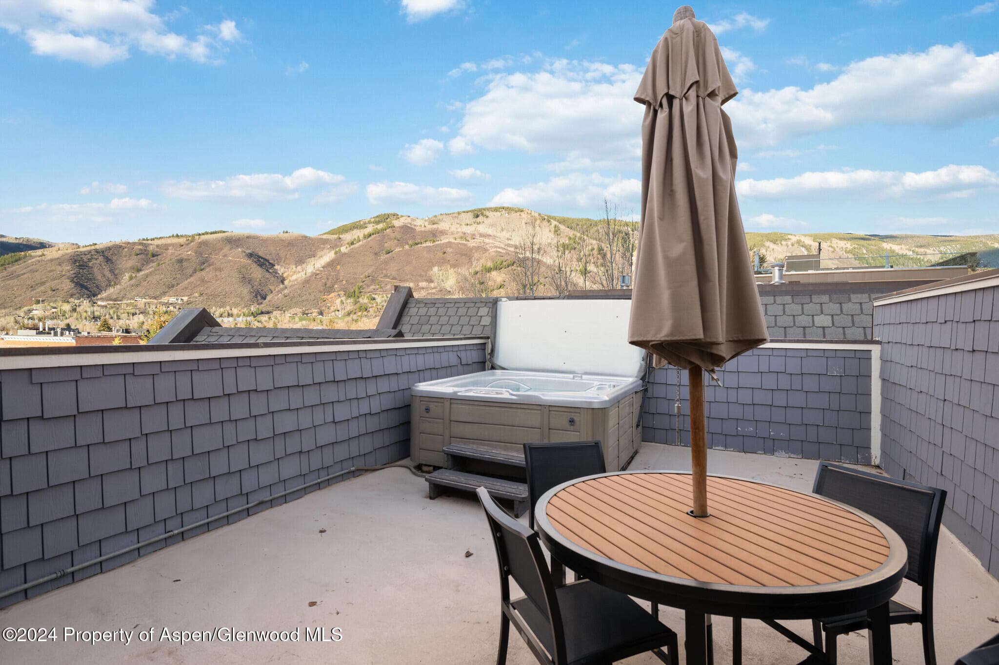 415 E Dean St, Unit 46, Week 12, Aspen, CO 81611 - Photo 12