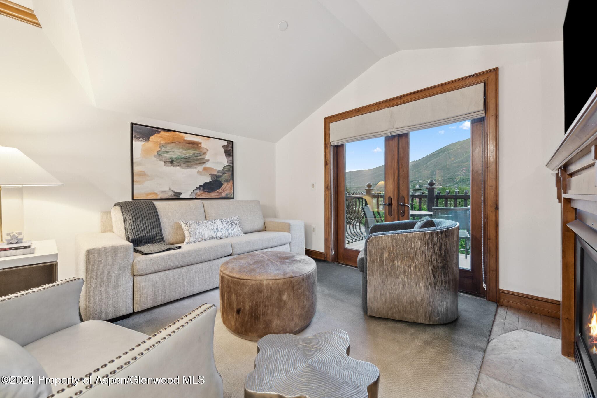415 E Dean St, Unit 46, Week 12, Aspen, CO 81611 - Photo 7