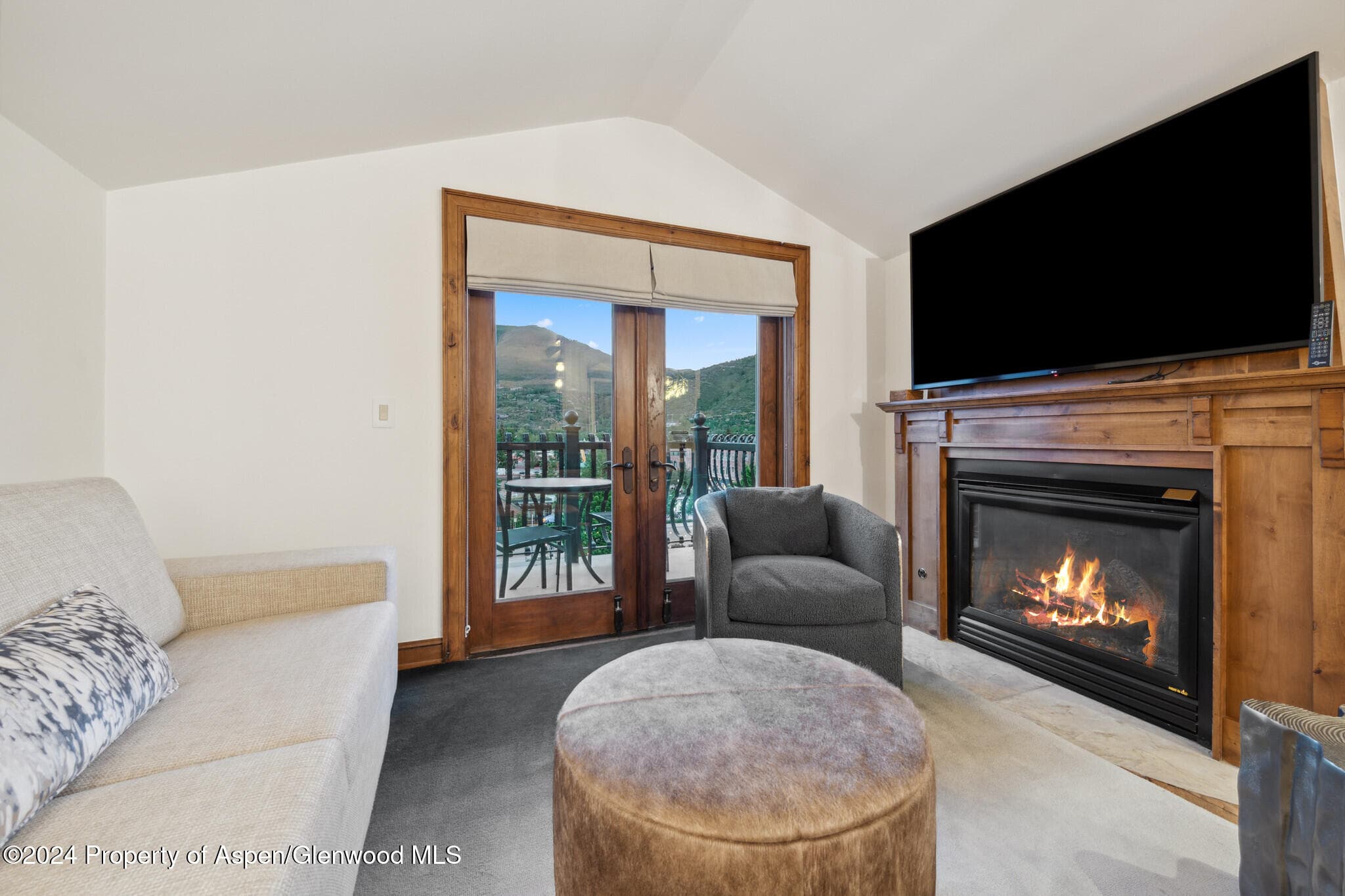 415 E Dean St, Unit 46, Week 12, Aspen, CO 81611 - Photo 4