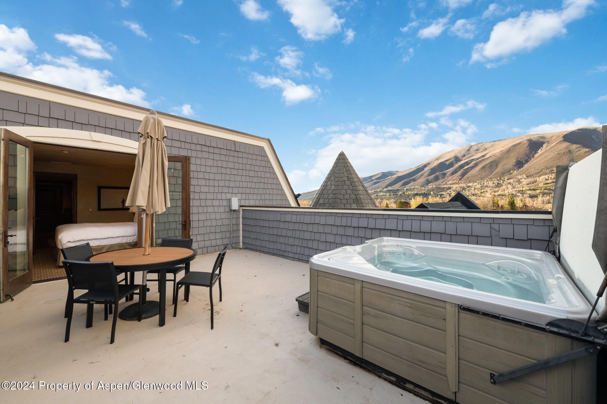 415 E Dean St, Unit 46, Week 12, Aspen, CO 81611 - Photo 11