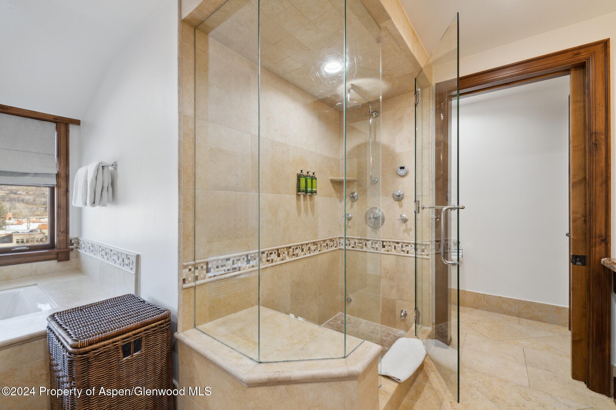 415 E Dean St, Unit 46, Week 12, Aspen, CO 81611 - Photo 16