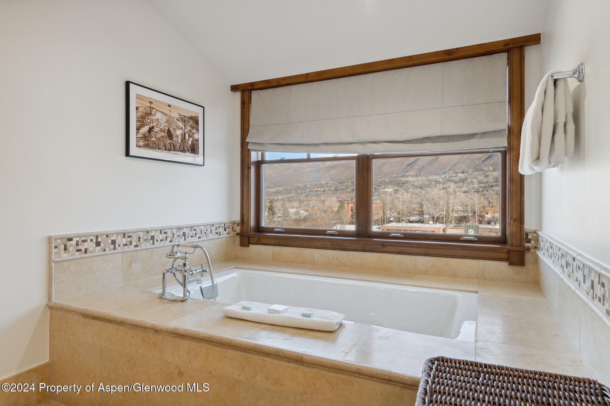 415 E Dean St, Unit 46, Week 12, Aspen, CO 81611 - Photo 15