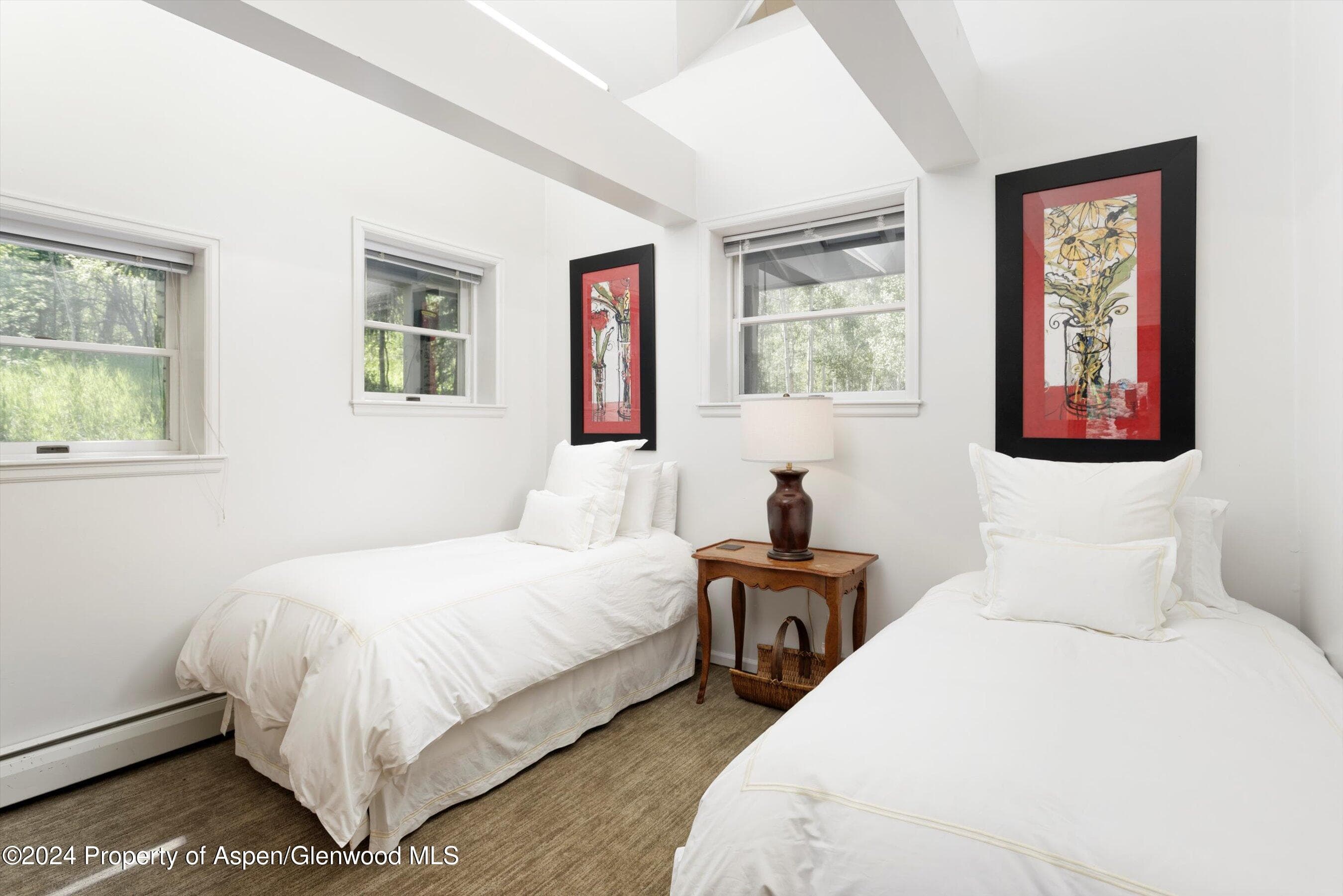 1500 Ute Avenue, Aspen, CO 81611 - Photo 12