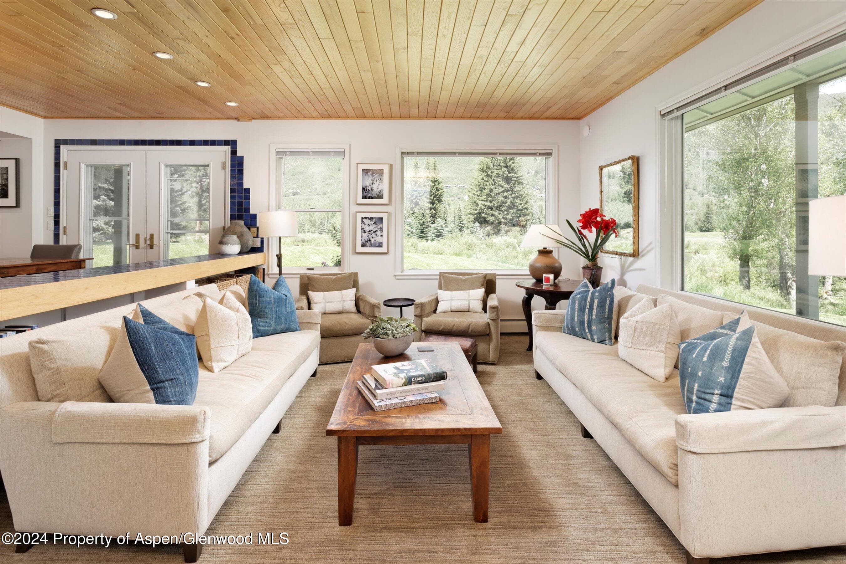 1500 Ute Avenue, Aspen, CO 81611 - Photo 8