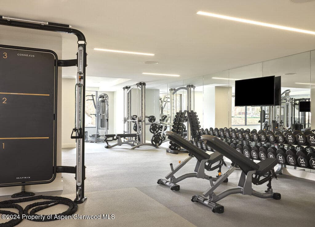 221 Wood Road 204, Snowmass Village, CO 81615 - Photo 10
