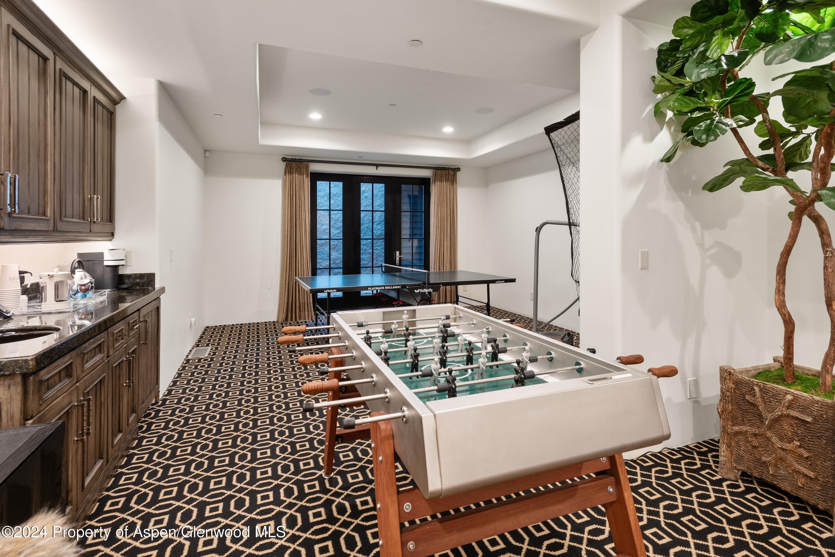 1449 Crystal Lake Road, Aspen, CO 81611 - Photo 30