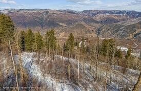 Lot 4 Bear Lane, Glenwood Springs, CO 81601 - Photo 4