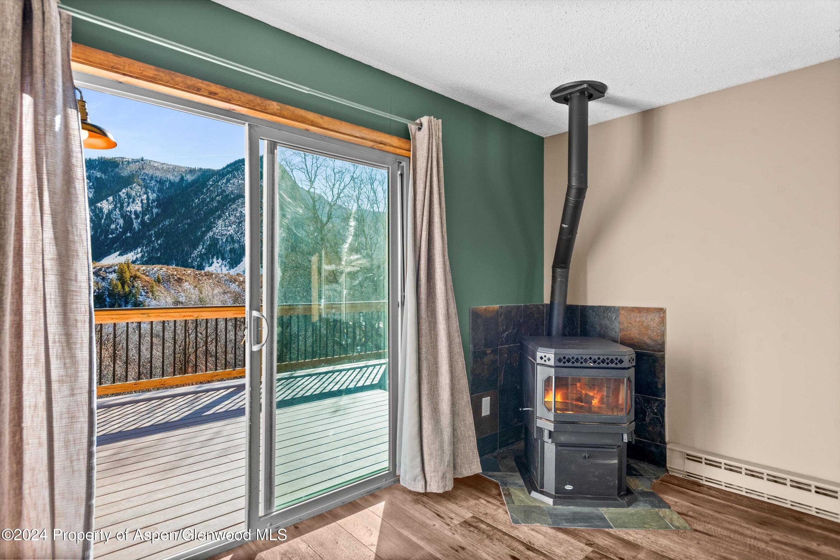 212 Cherokee Lane, Carbondale, CO 81623 - Photo 7