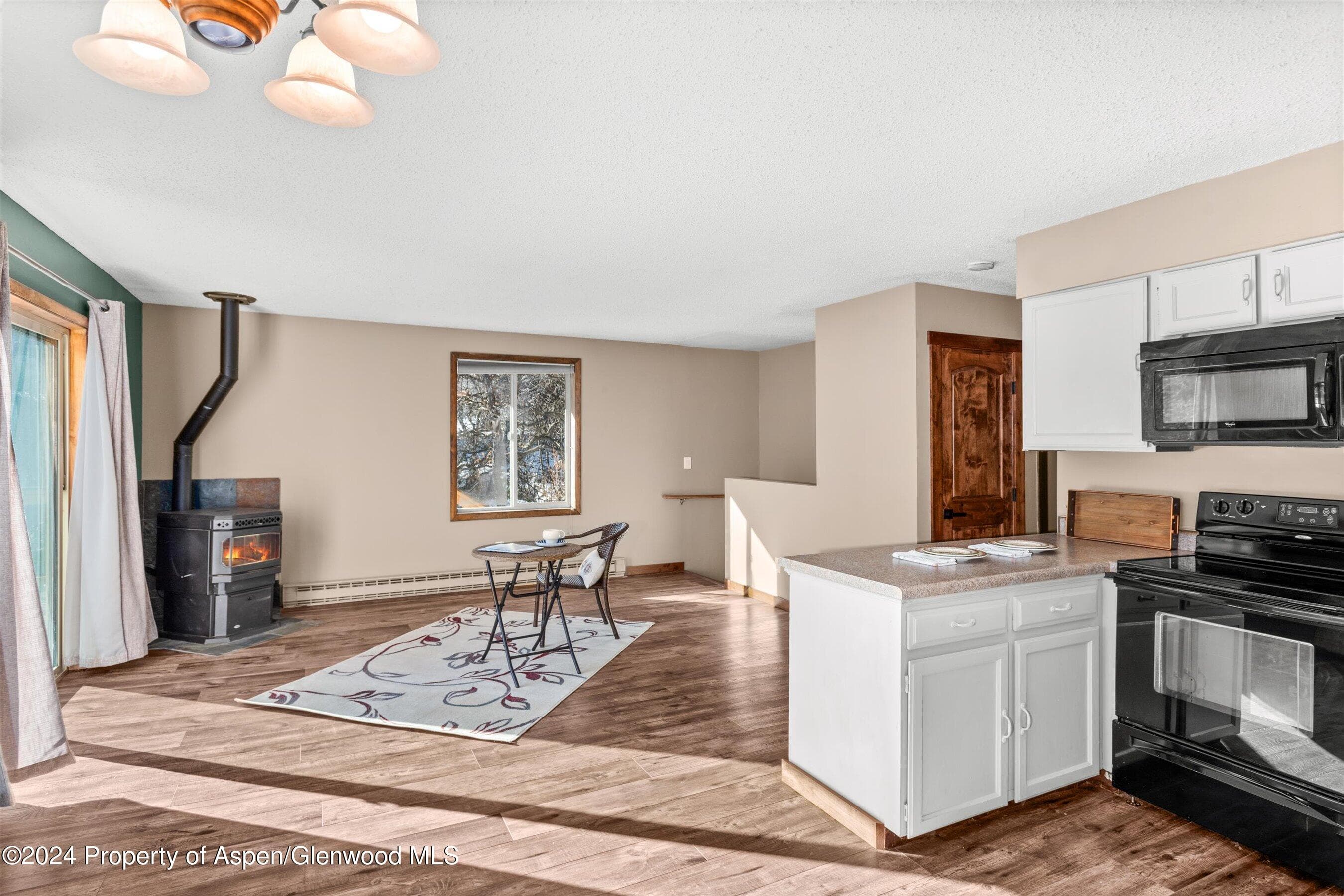 212 Cherokee Lane, Carbondale, CO 81623 - Photo 13