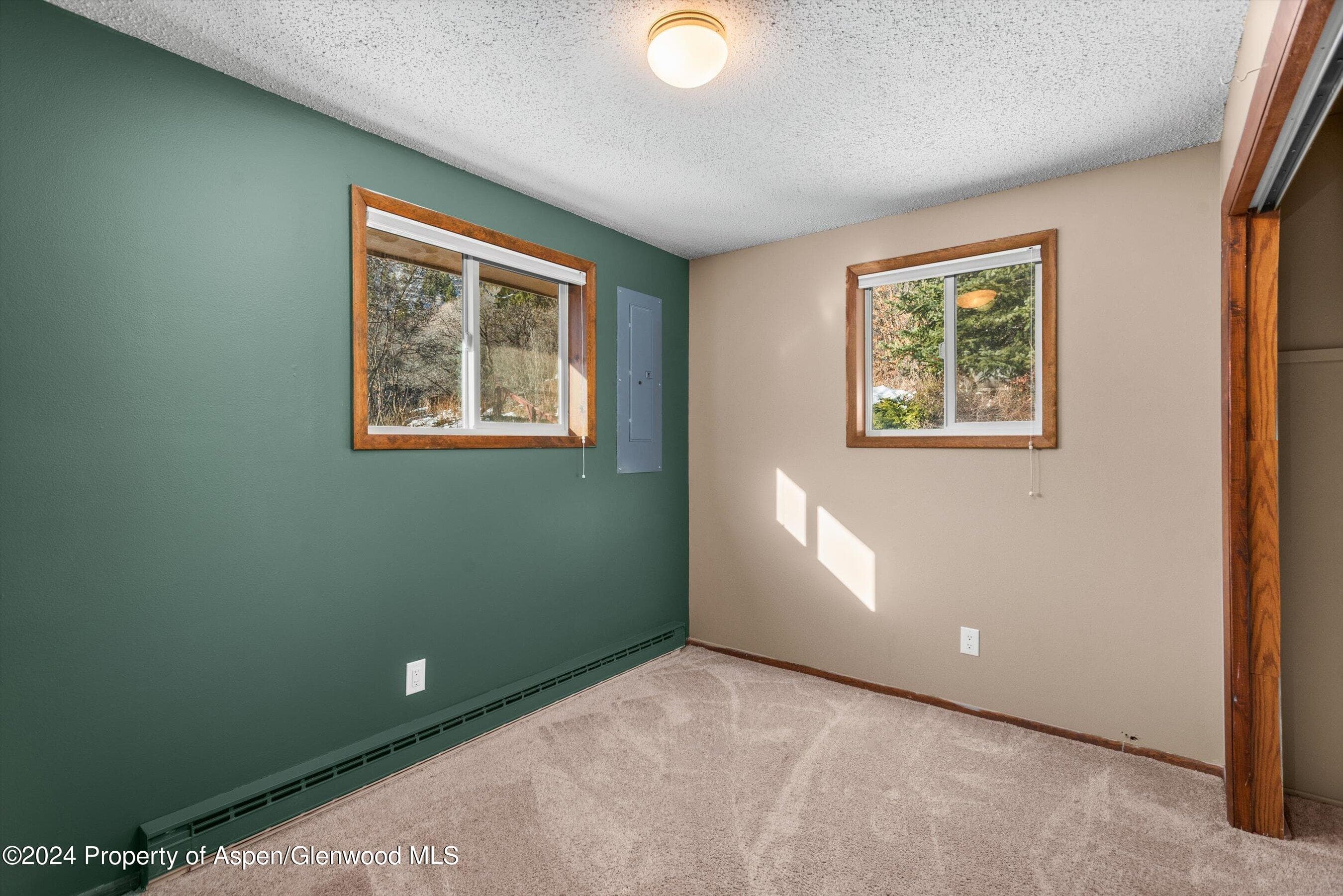 212 Cherokee Lane, Carbondale, CO 81623 - Photo 19