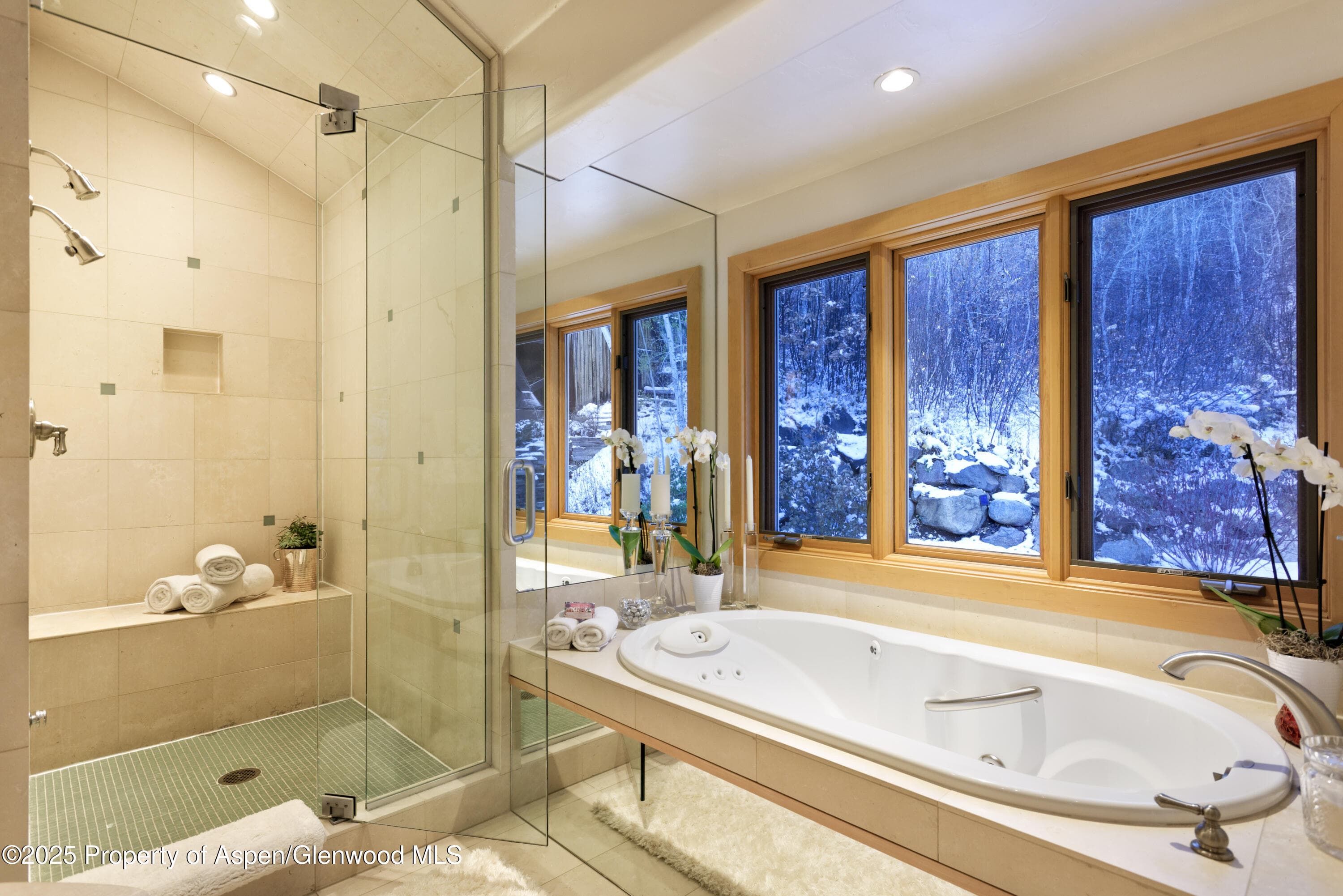 549 Mountain Laurel Drive, Aspen, CO 81611 - Photo 14
