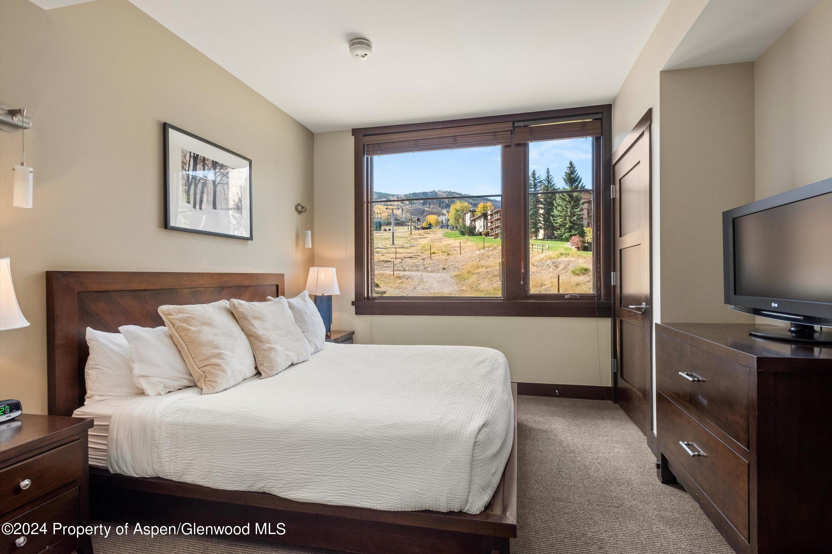 120 CARRIAGE Way 2201, Snowmass Village, CO 81615 - Photo 7