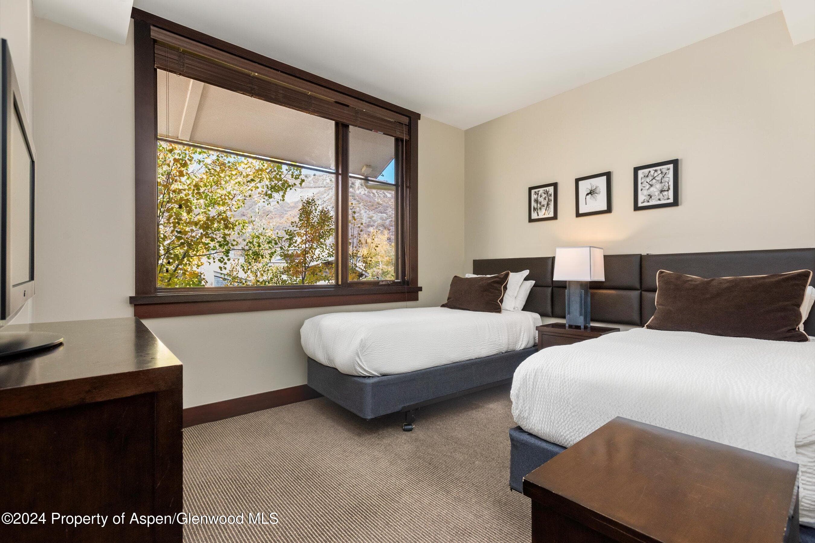 120 CARRIAGE Way 2201, Snowmass Village, CO 81615 - Photo 10