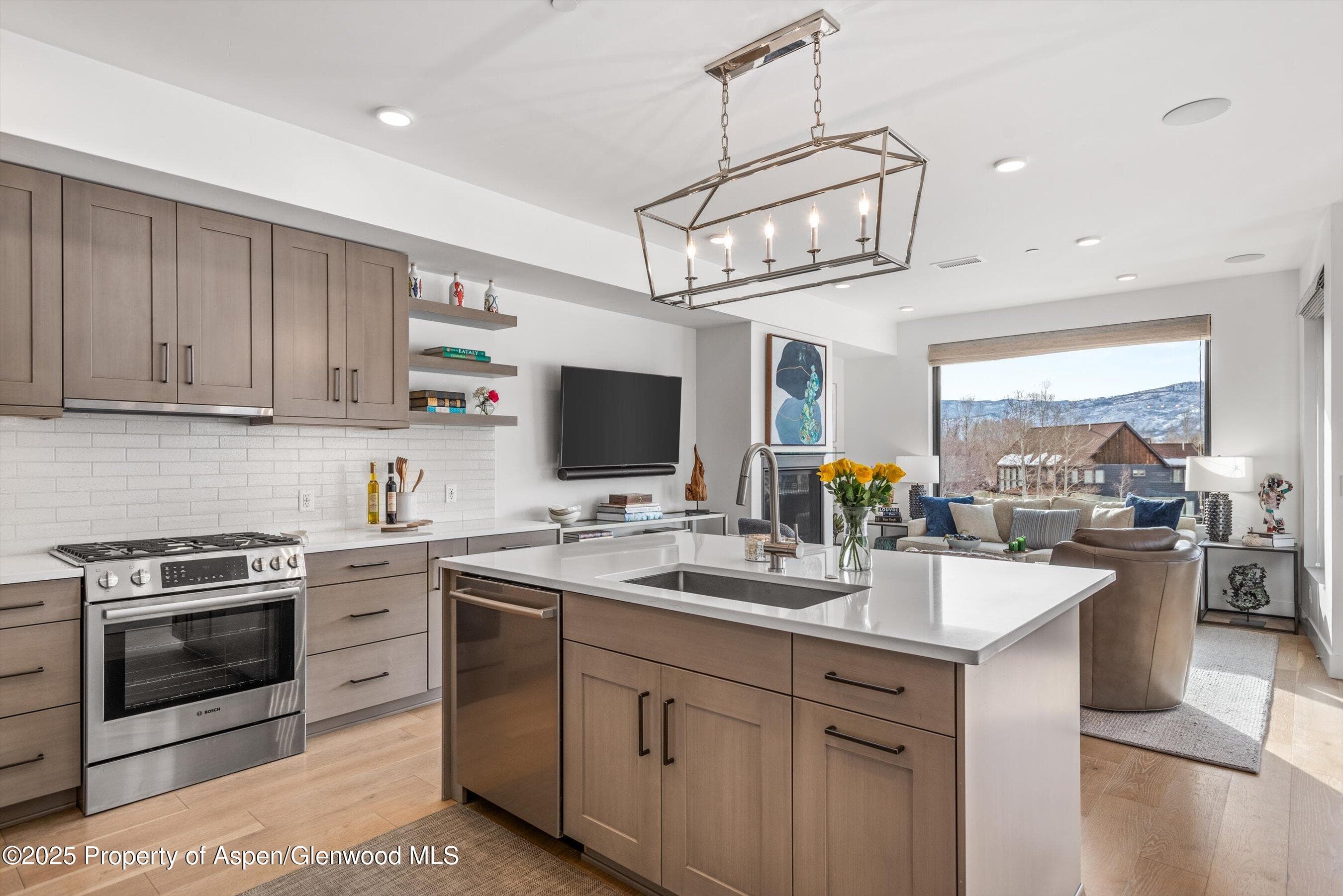 210 E Lewis Lane, Basalt, CO 81621 - Photo 8