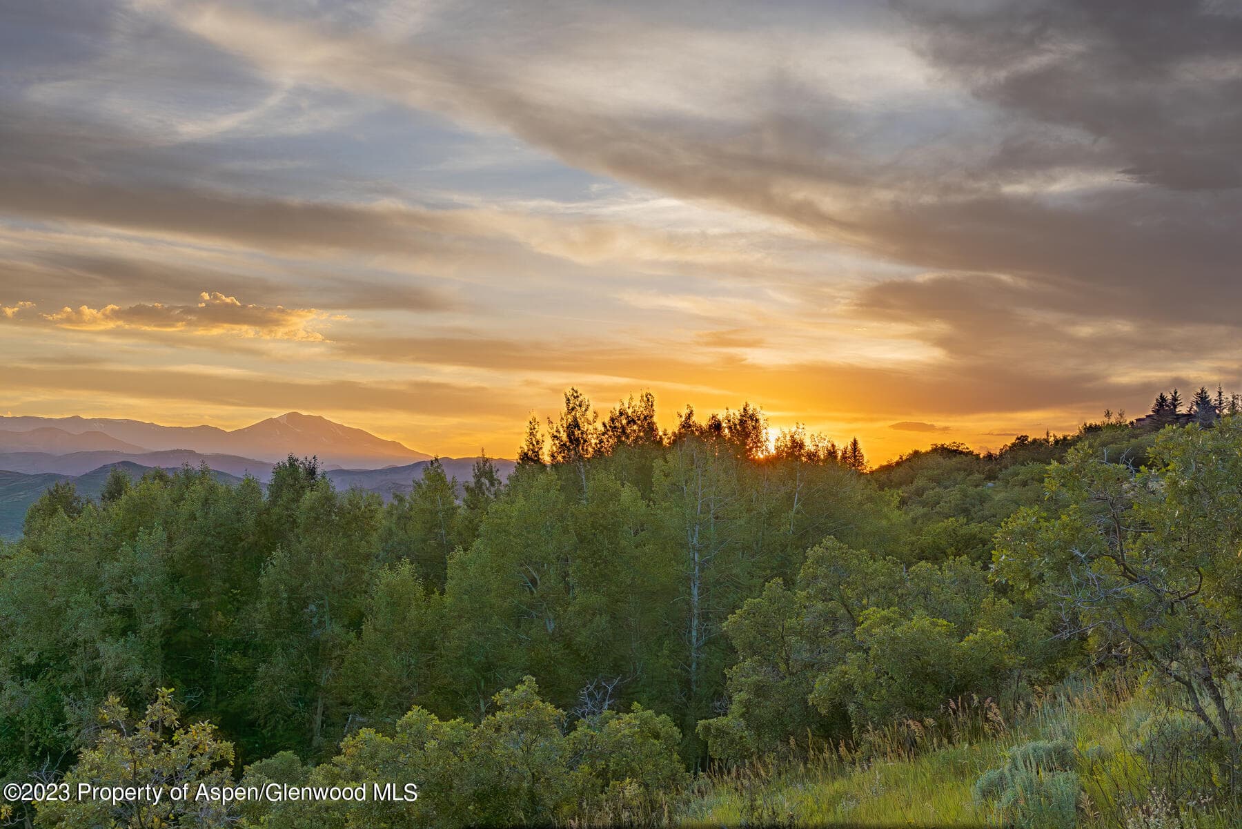 754 Eppley Drive, Aspen, CO 81611 - Photo 13