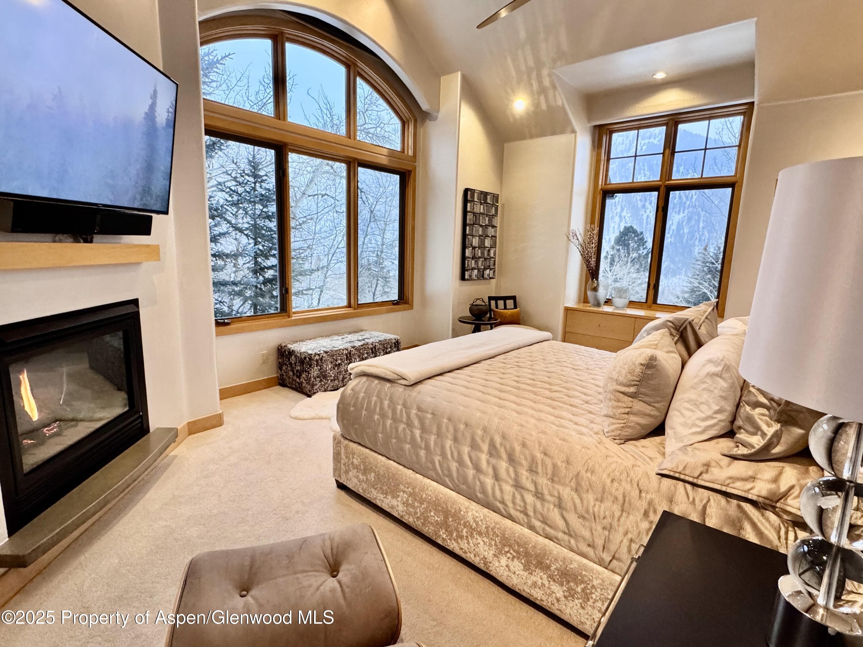 549 Mountain Laurel Drive, Aspen, CO 81611 - Photo 13
