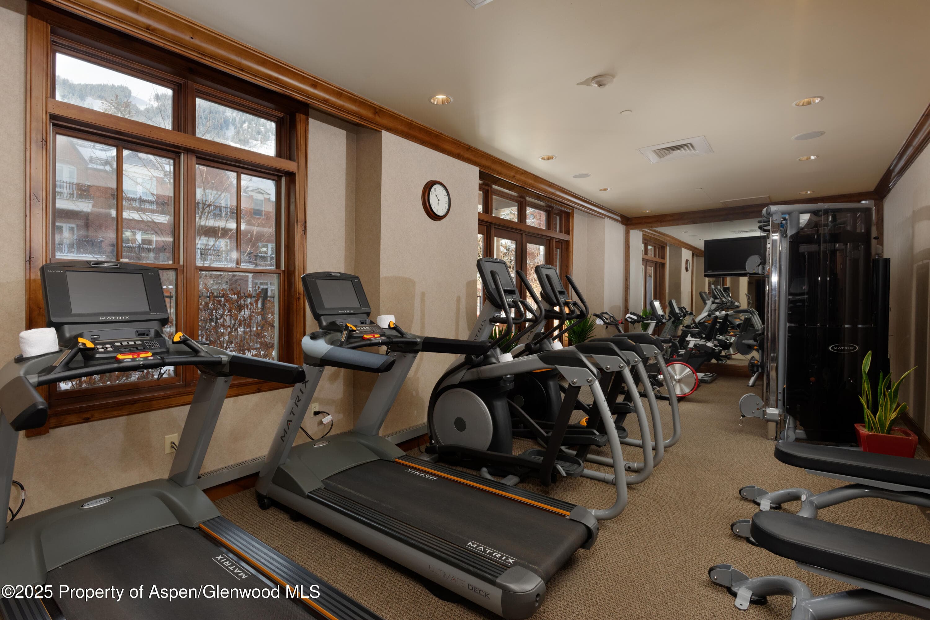 415 E Dean Street Unit 32- wk 6, Aspen, CO 81611 - Photo 14
