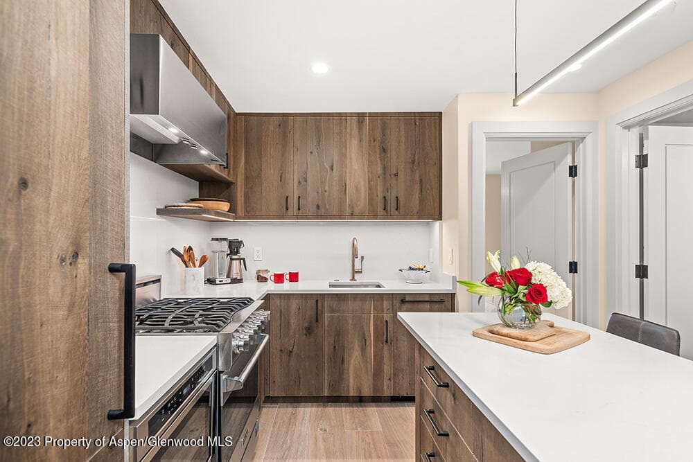 631 S Galena Street #11, Aspen, CO 81611 - Photo 5