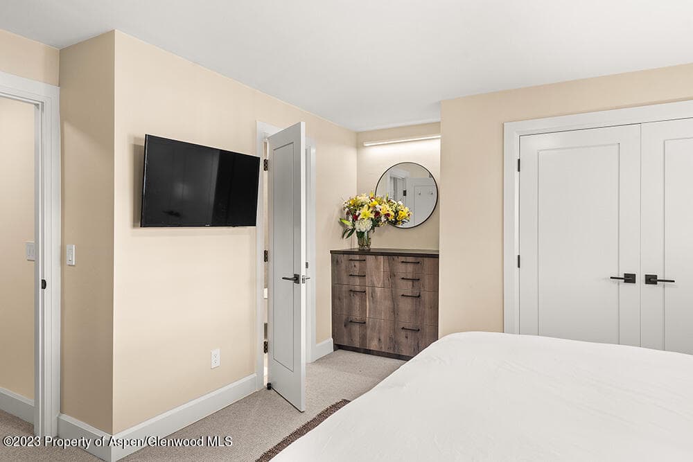 631 S Galena Street #11, Aspen, CO 81611 - Photo 11
