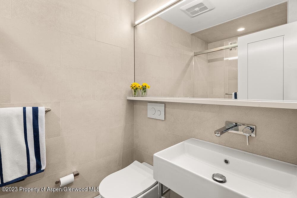 631 S Galena Street #11, Aspen, CO 81611 - Photo 16