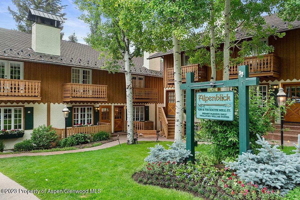631 S Galena Street #11, Aspen, CO 81611 - Photo 17