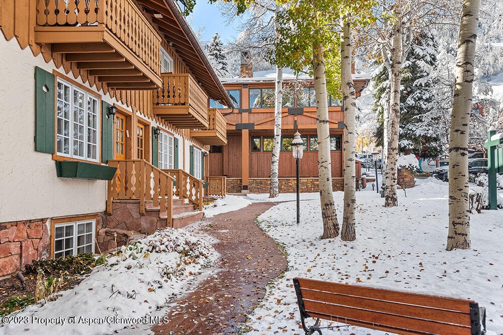 631 S Galena Street #11, Aspen, CO 81611 - Photo 18