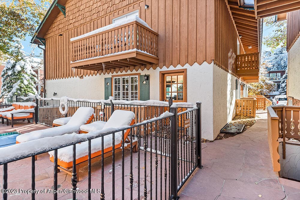 631 S Galena Street #11, Aspen, CO 81611 - Photo 20
