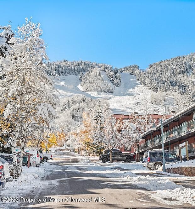 631 S Galena Street #11, Aspen, CO 81611 - Photo 23