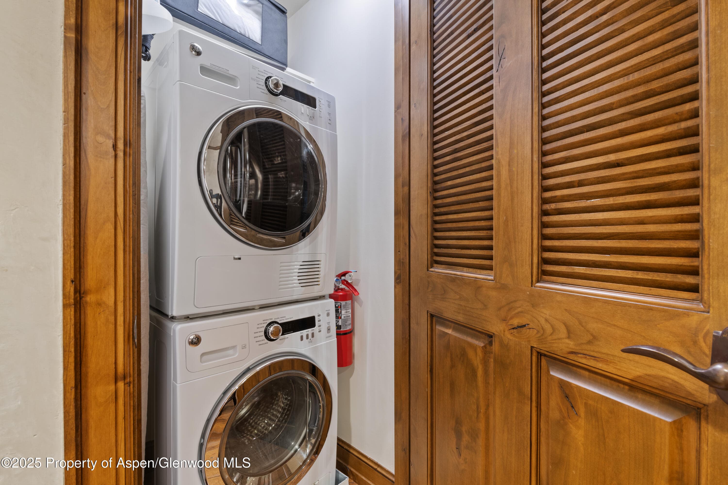 415 E Dean Street Unit 32- wk 6, Aspen, CO 81611 - Photo 15