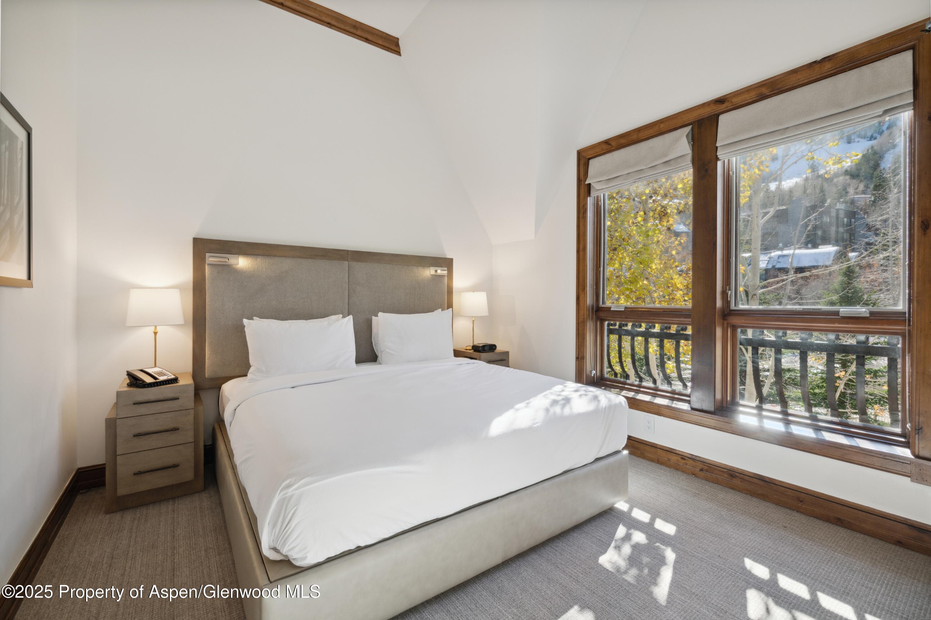 415 E Dean Street Unit 32- wk 6, Aspen, CO 81611 - Photo 10