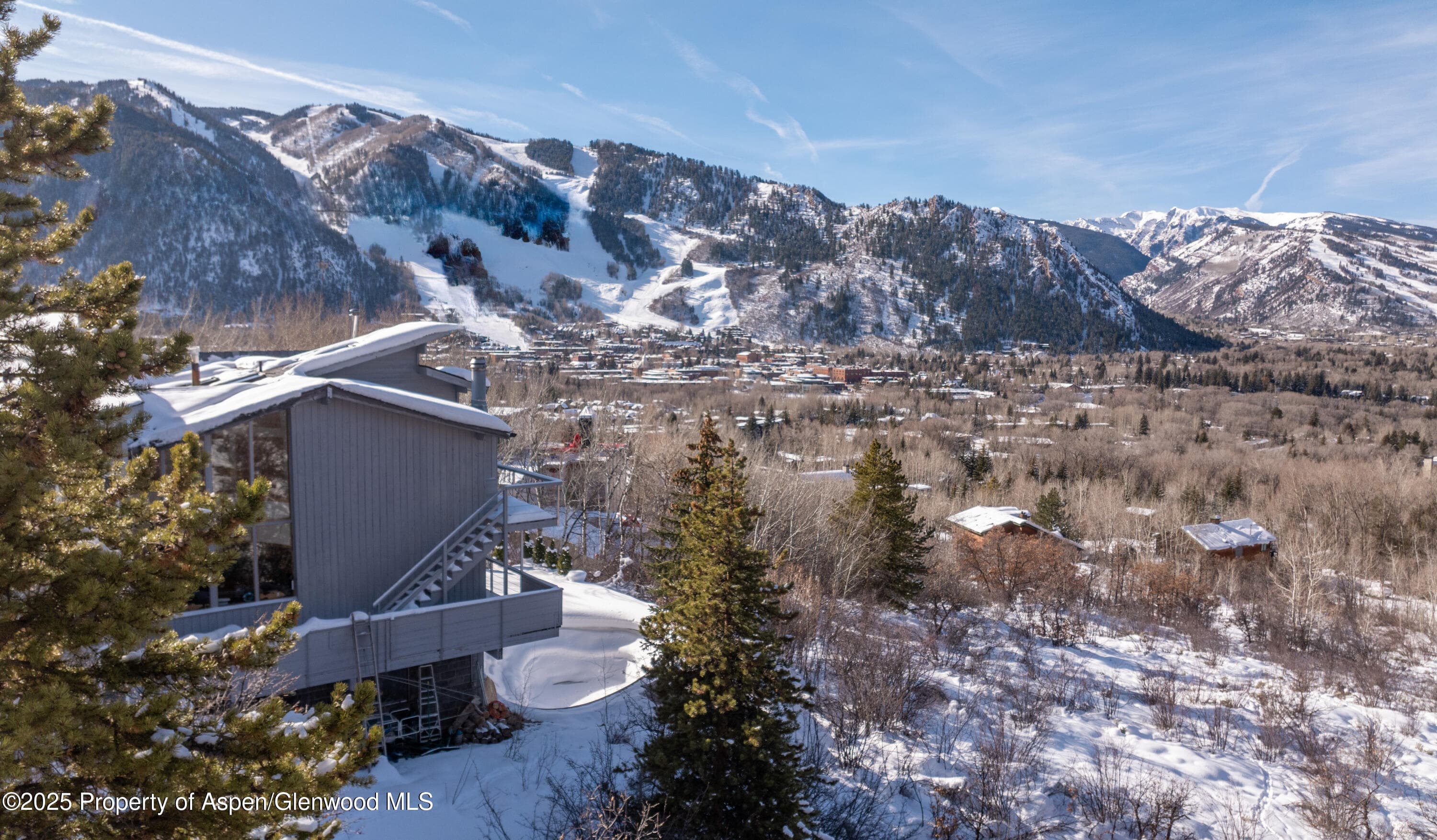 709 N Spruce Street, Aspen, CO 81611 - Photo 8