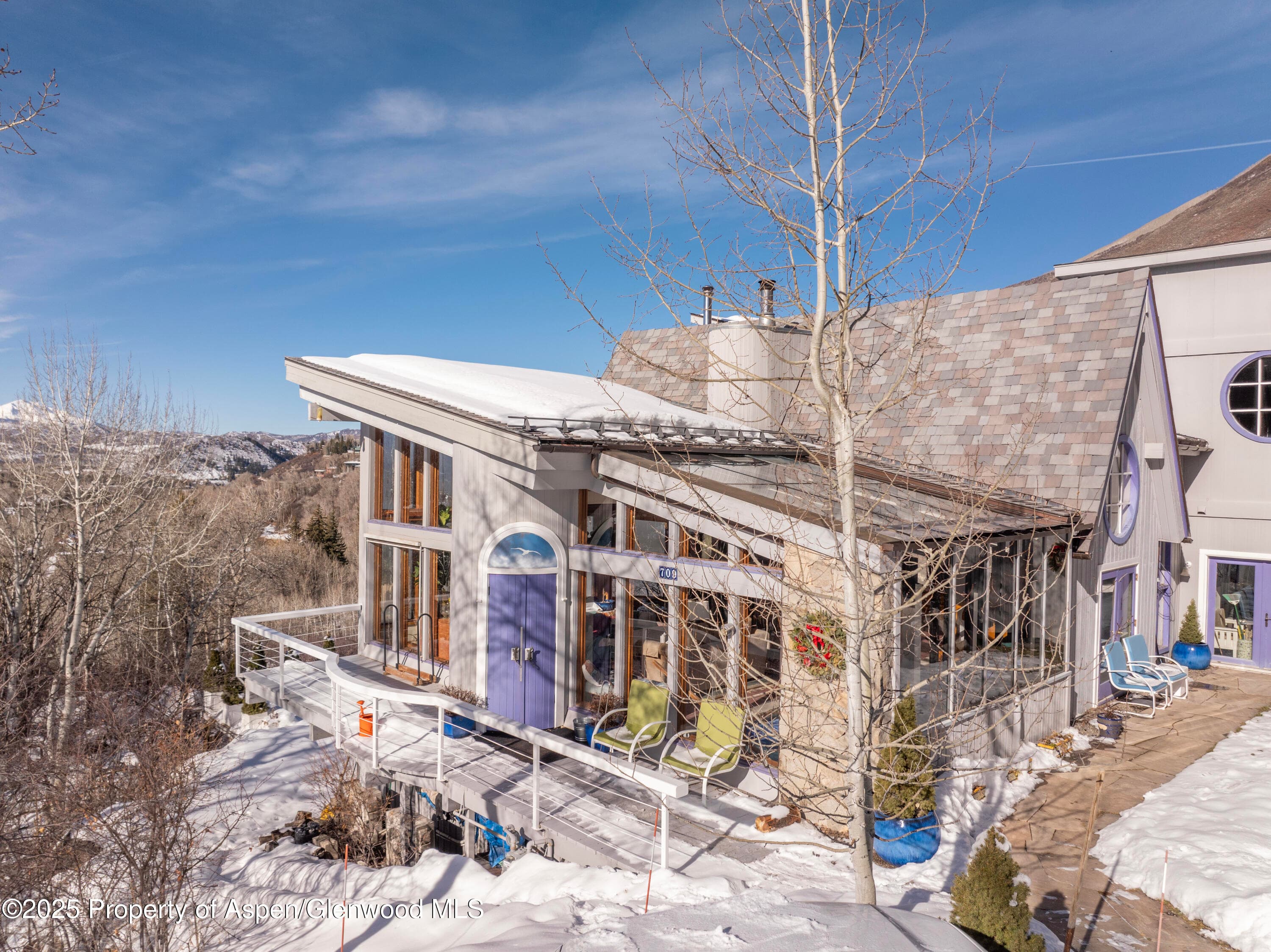 709 N Spruce Street, Aspen, CO 81611 - Photo 11