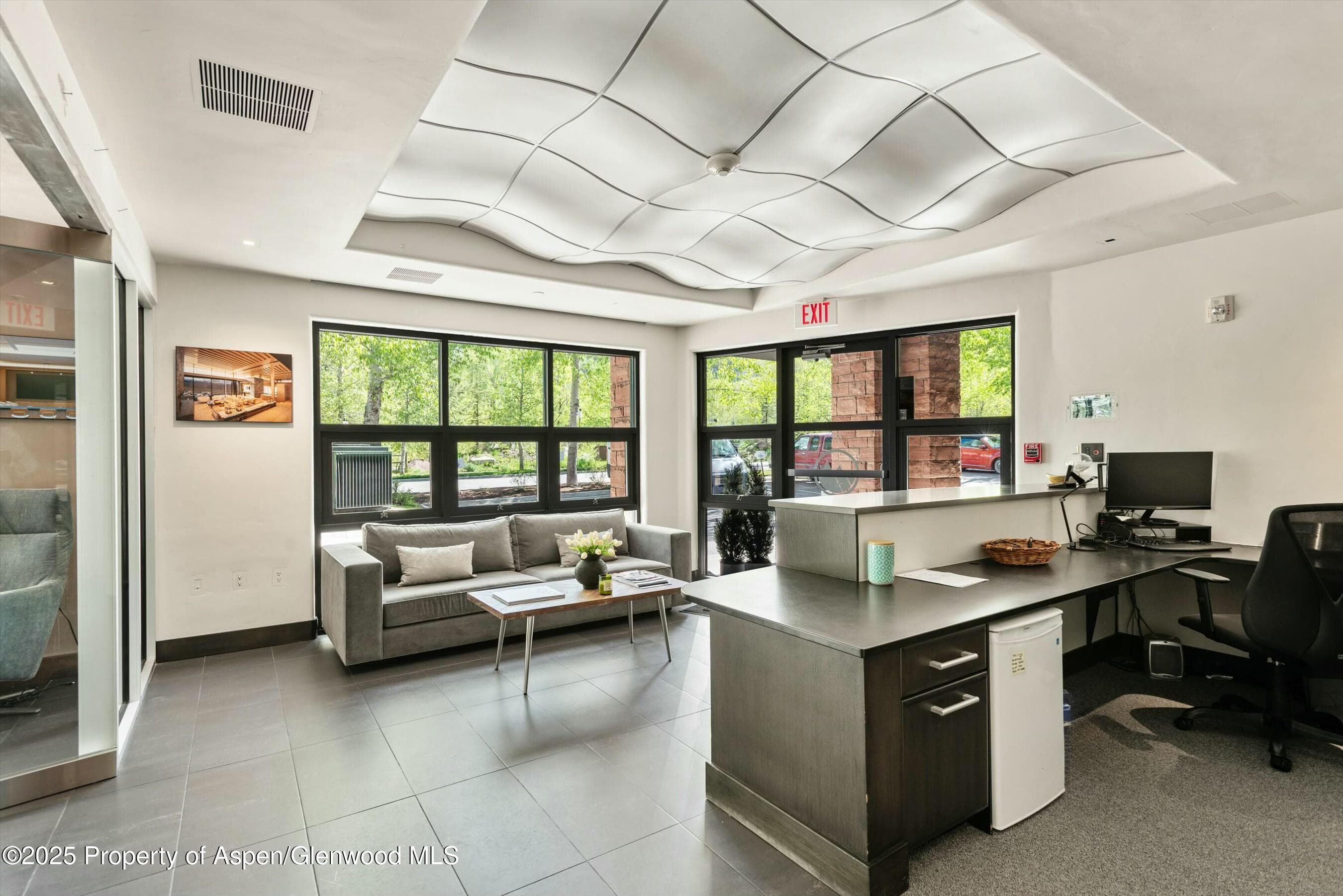 601 Rio Grande Place, Aspen, CO 81611 - Photo 8