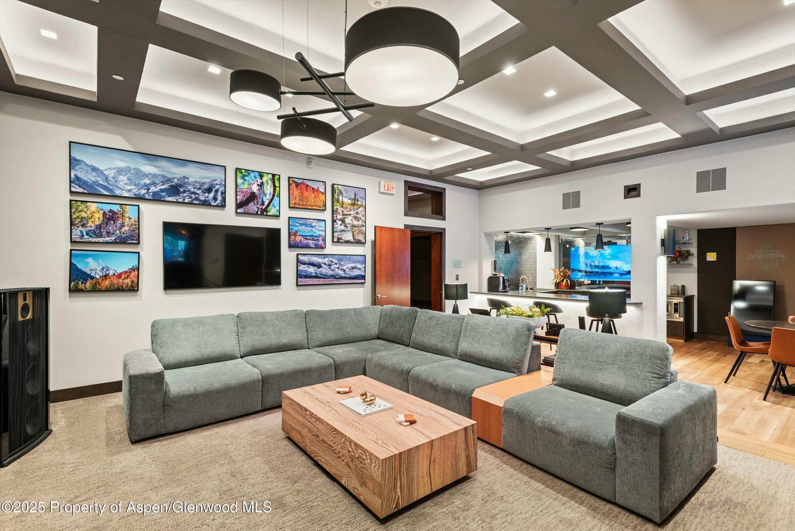601 Rio Grande Place, Aspen, CO 81611 - Photo 19