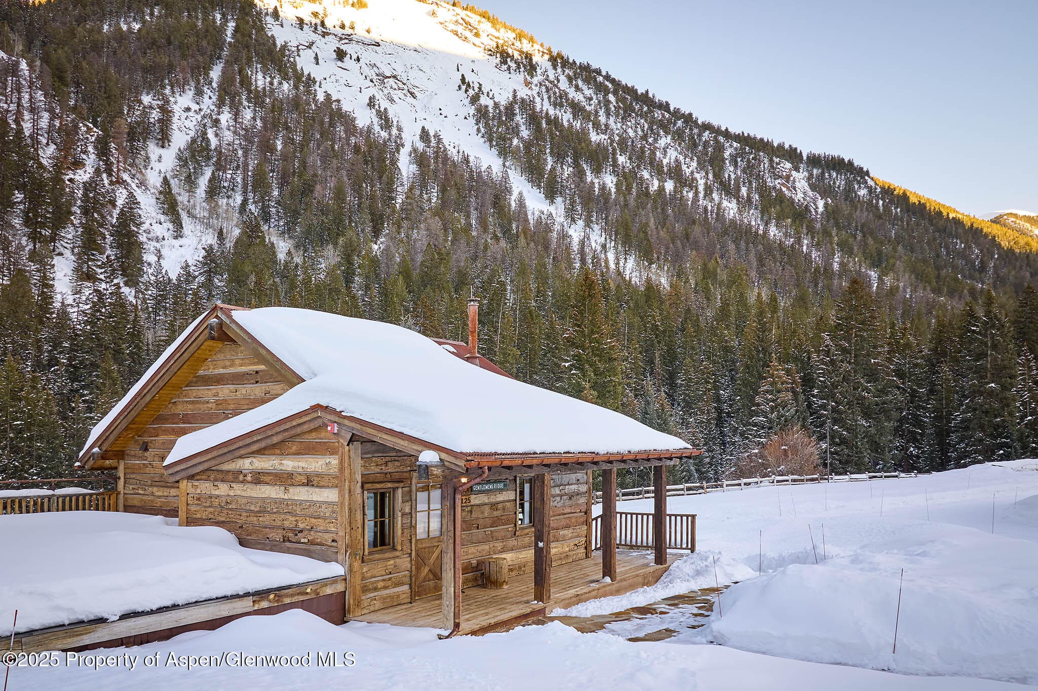 125 Rooney Circle, Aspen, CO 81611 - Photo 34