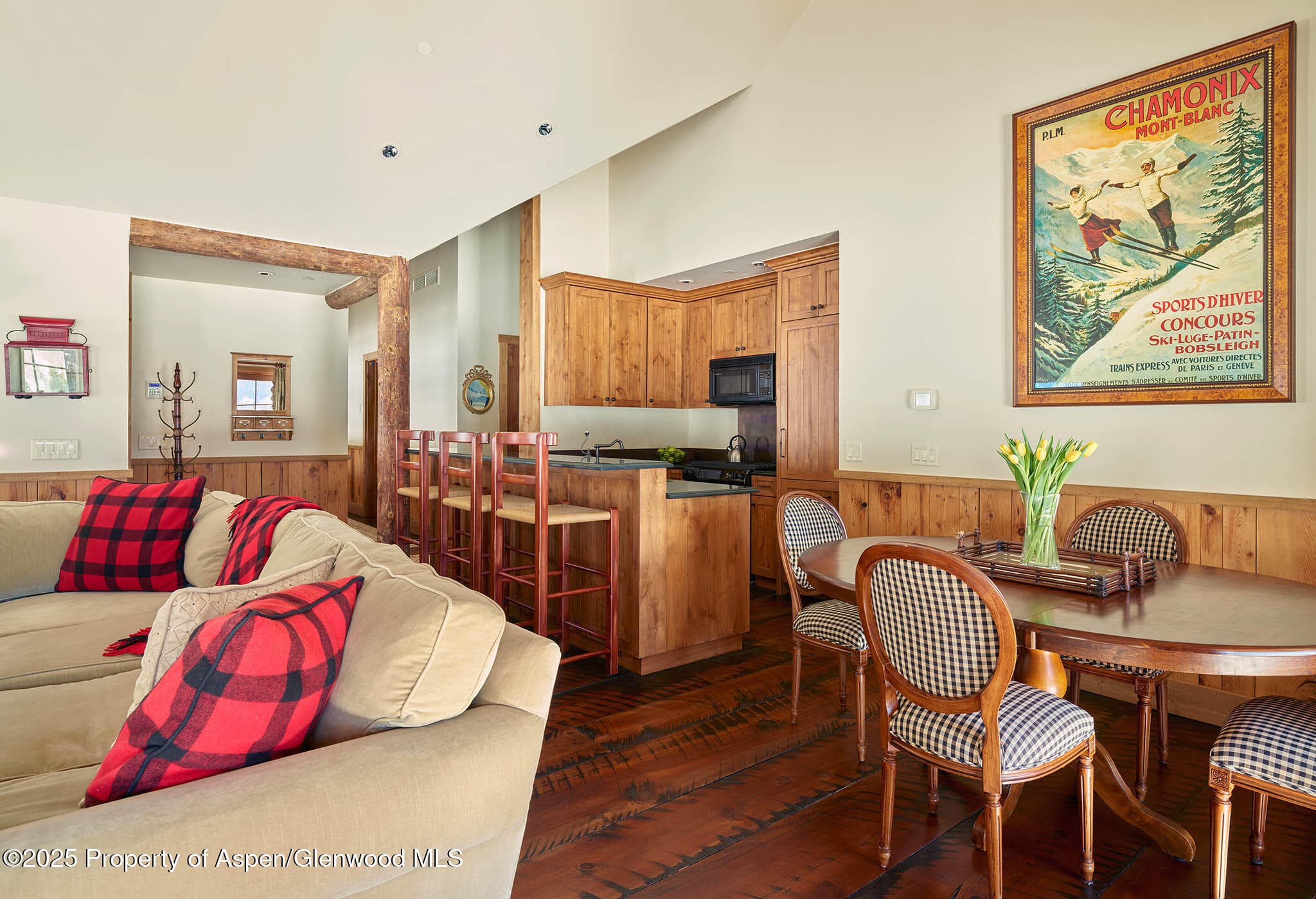125 Rooney Circle, Aspen, CO 81611 - Photo 53