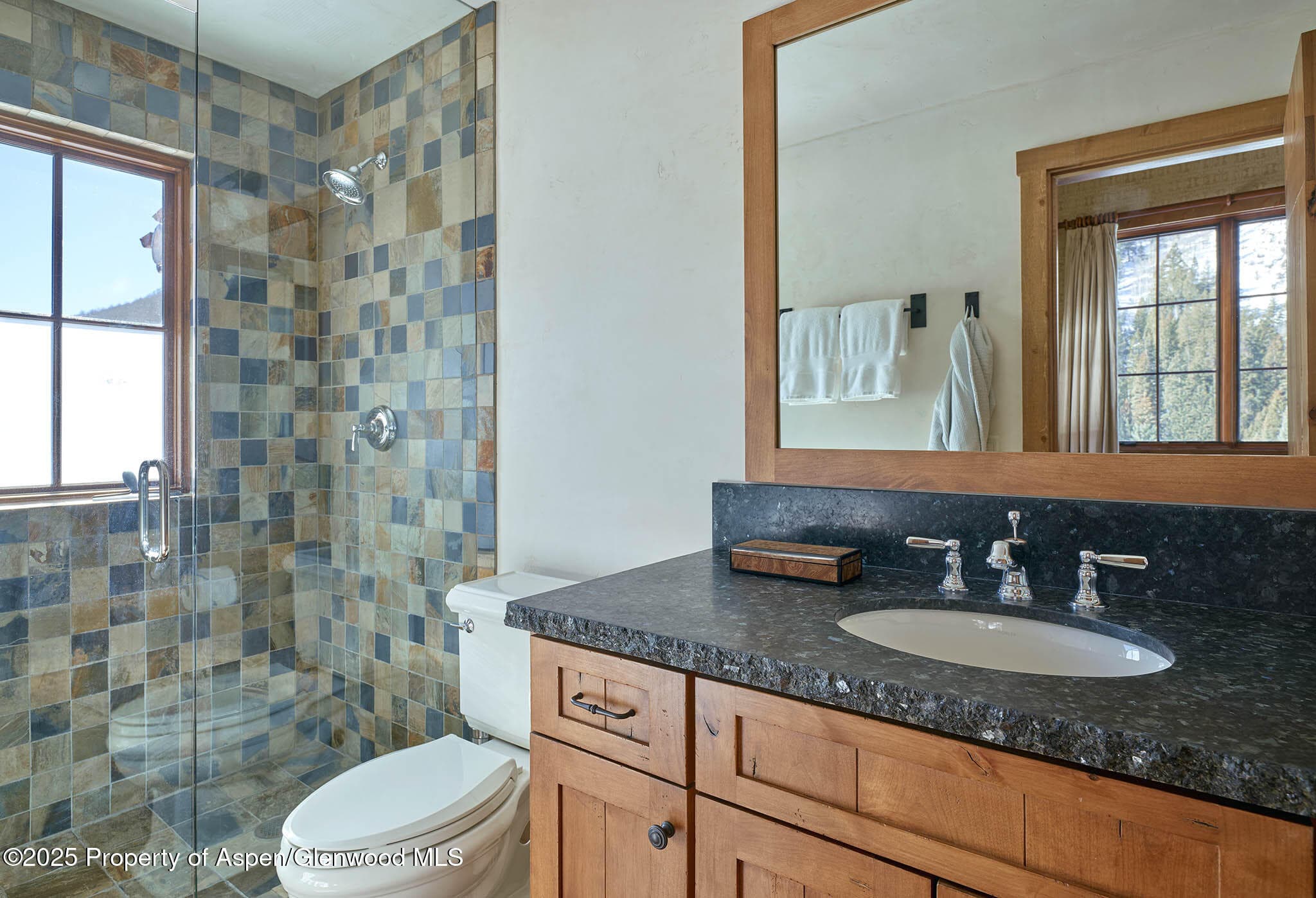 125 Rooney Circle, Aspen, CO 81611 - Photo 57