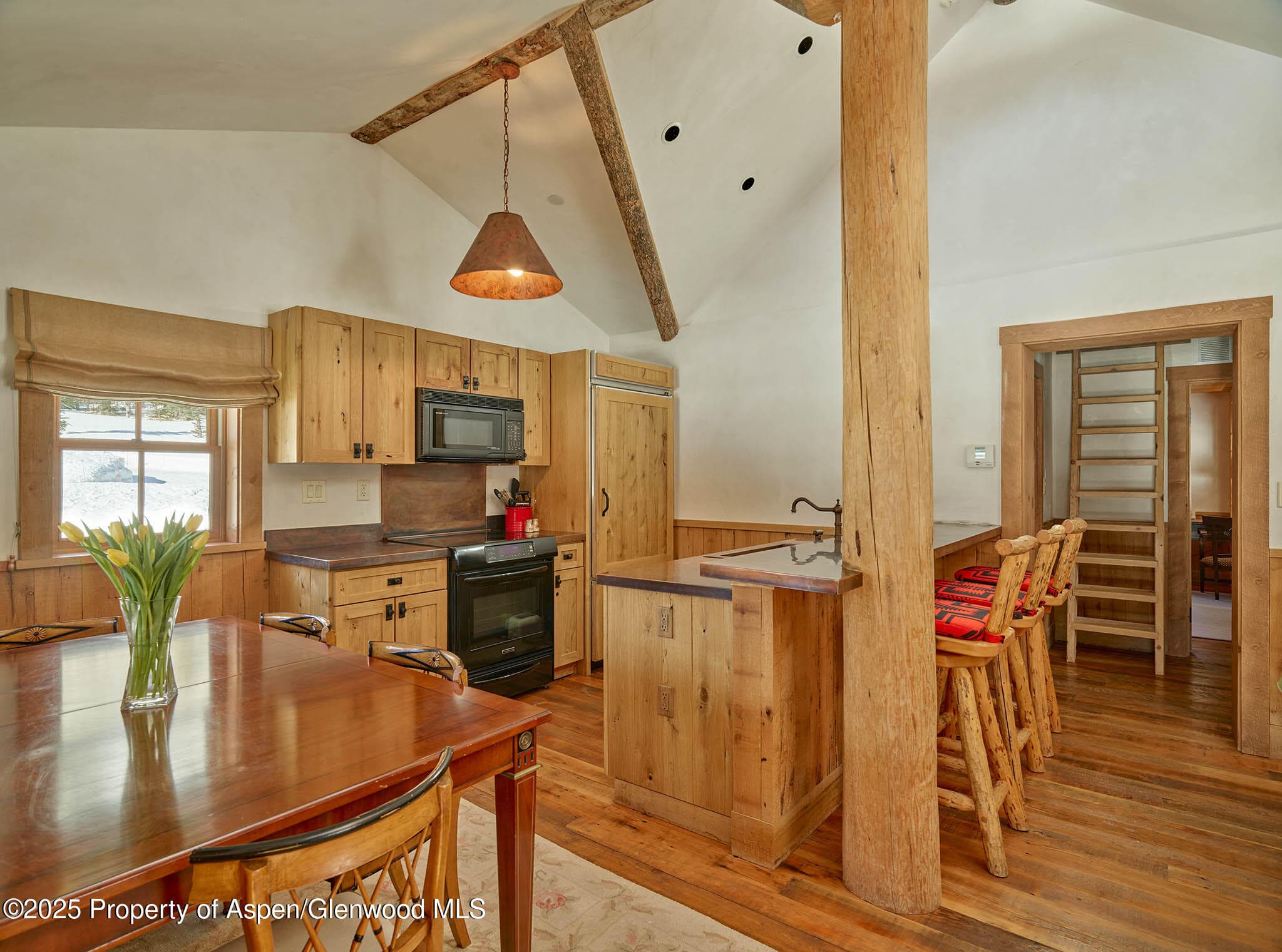 125 Rooney Circle, Aspen, CO 81611 - Photo 47