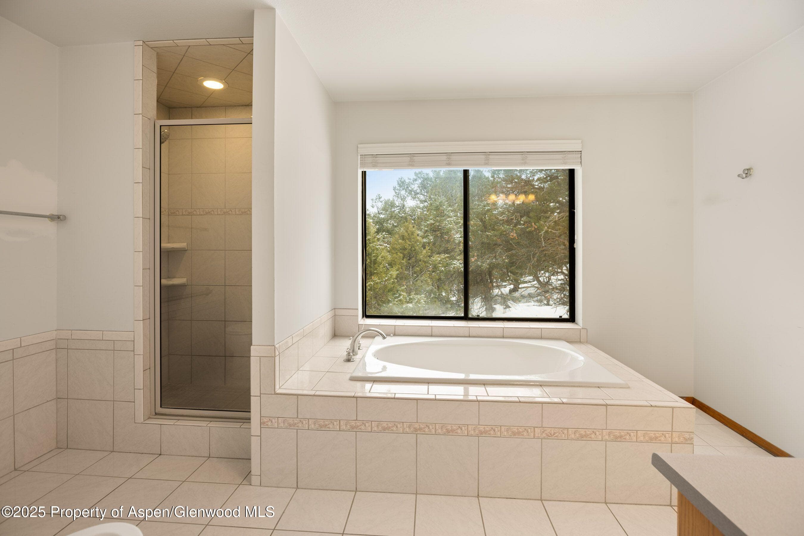 1544 County Road 112, Carbondale, CO 81623 - Photo 15